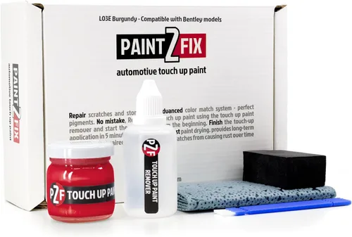 Vista 52 de 6061 - Kit de pintura de retoque satinado blanco para reparación de arañazos y virutas Bentley, 0.84 onzas líquidas (0.8 fl oz)