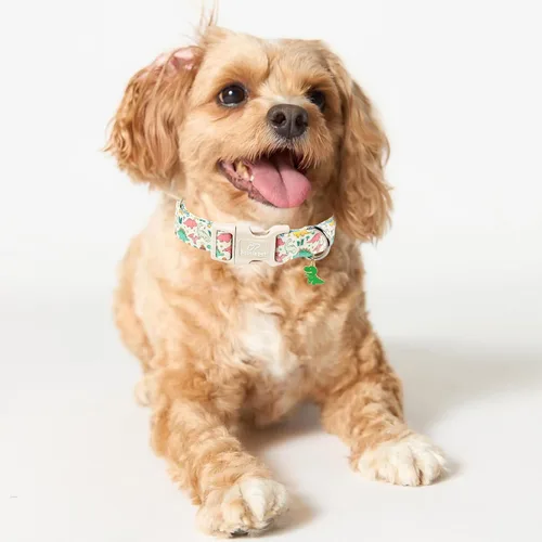 Vista 390 de Collar para perros del 4 de julio, collares patrióticos azules para cachorros y perros pequeños, ligero y ajustable 1776 collares para cachorros