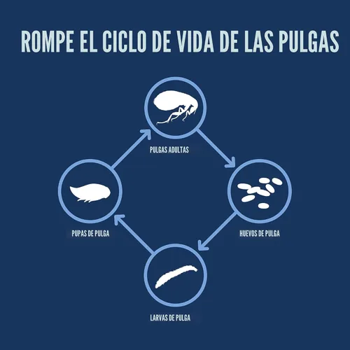 Vista 5 de petarmor Plus & de pulgas Tick Tratamiento para gatos, más de 1,5 kg, 3 ct