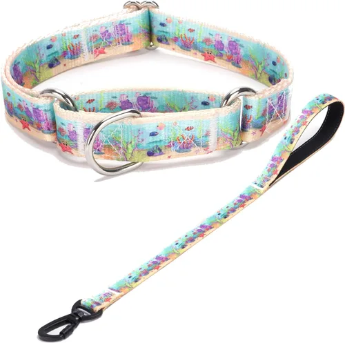 Vista 29 de Collar de perro de nailon resistente, collar ajustable de martingala para perros para caminar y entrenamiento para perros machos y hembras perros