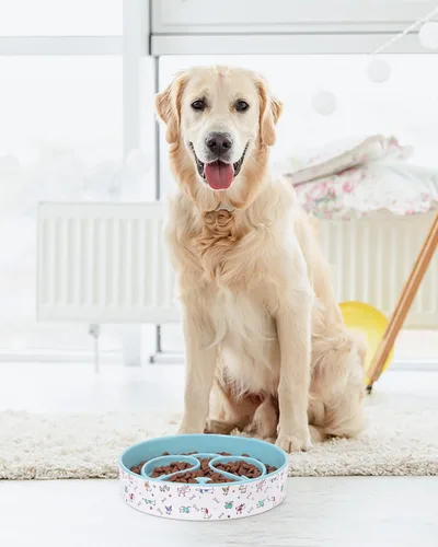 Vista 6 de Cuenco para perros de alimentación lenta, cuencos de cerámica de 8 pulgadas Azul