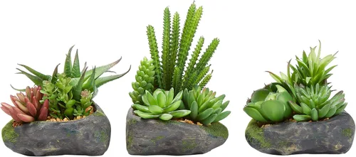 Vista 6 de Pure Garden Plantas suculentas artificiales, juego de arreglos de 3 piezas en macetas de piedra sintética y varios tamaños, vegetación realista