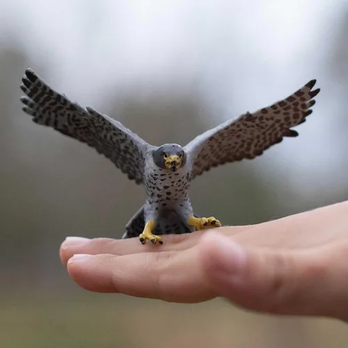 Vista 5 de Safari Ltd. Figura de halcón peregrino, figura detallada de plástico de 3.75 pulgadas, divertido juguete educativo para niños, niñas y niños a