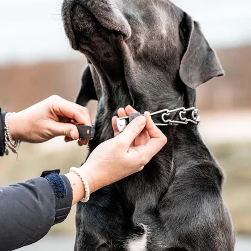 Vista 6 de Herm Sprenger Hebilla de cierre rápido ClicLock de acero inoxidable para collar de entrenamiento de dientes para perros y liberación rápida