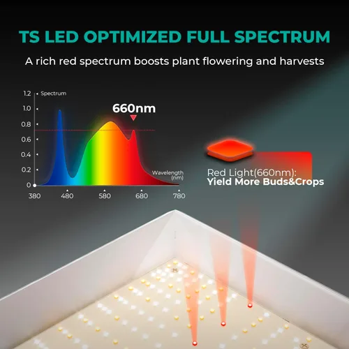 Vista 4 de MARS HYDRO TS1000 150W LED Grow Light para plantas de interior y iHub-Pro, kit de regleta de alimentación 10AC