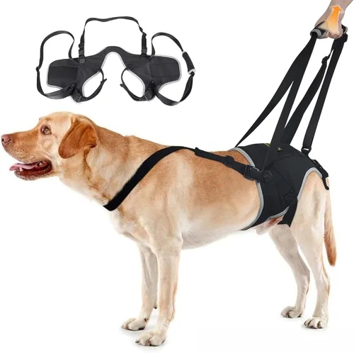 Vista 24 de Codera para perros gigantes, soporte para hombros y articulaciones para adultos mayores Diseñado para razas gigantes que necesitan apoyo adicional