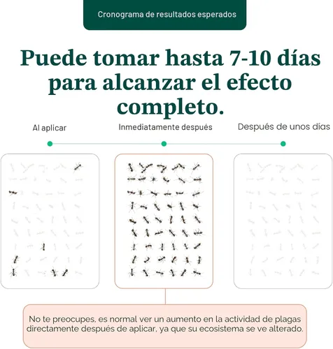 Vista 5 de Pestie Kit de control de plagas de barrera para el hogar, control experto de plagas para tu hogar, asesino de insectos de acción rápida y larga