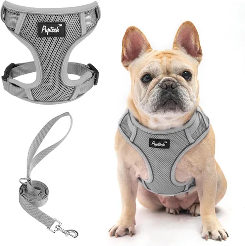 Vista 50 de PUPTECK Juego de arnés y correa para perro pequeño, arnés ajustable sin tirones para cachorro, chaleco de malla suave reflectante para mascotas