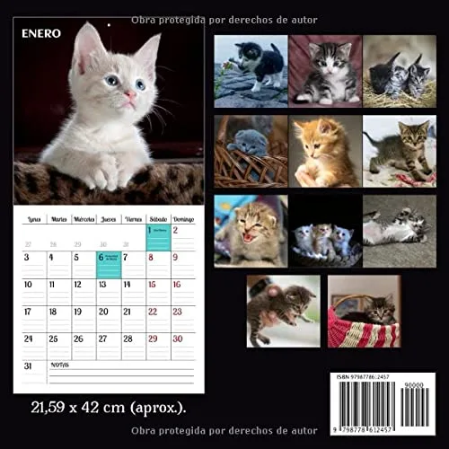 Vista 2 de Calendario del 2022 - Gatitos adorables Calendario de España 2022. Calendario de 12 meses con festivos nacionales. Almanaque de pared en español