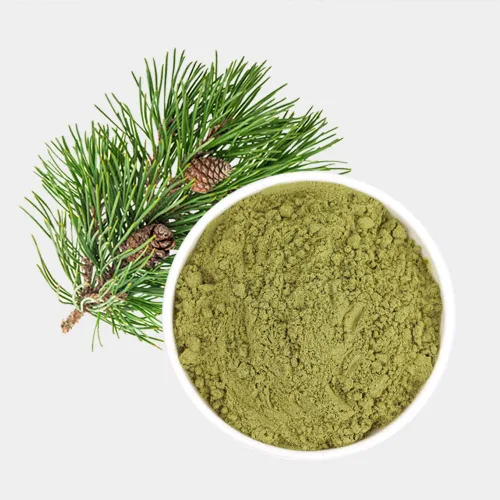 Vista 6 de ONDAMGO Natural Pine Needles - Polvo de té de 7.05 oz - 100% polvo de hoja de pino 7.05 oz (agujas de pino en polvo)