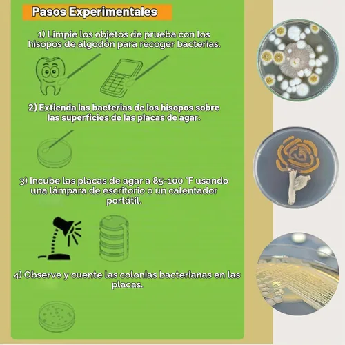 Vista 4 de Kit de ciencias de bacterias EZ Bioresearch (IV): kit de proyecto de ciencias Placas de agar LB preparadas e hisopos de algodón Exclusivo libro