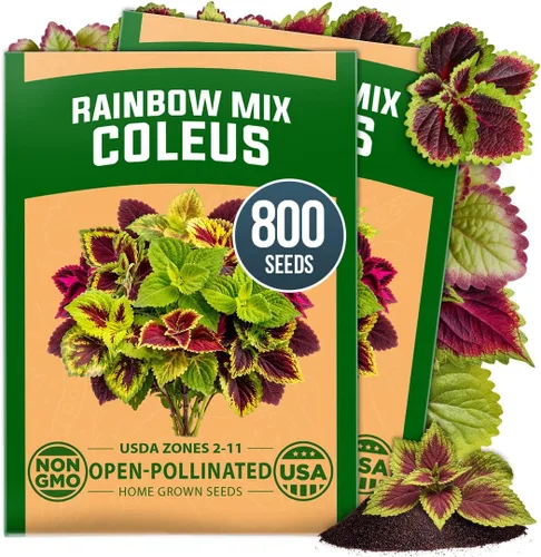Vista 61 de HOME GROWN Semillas de Hollyhock de doble mezcla de Chater, 200 semillas