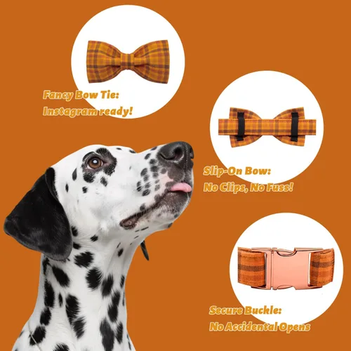Vista 4 de Maca Bates - Collar de otoño para perro con pajarita de algodón suave, diseño de calabaza a cuadros, collar de perro con corbatín a cuadros