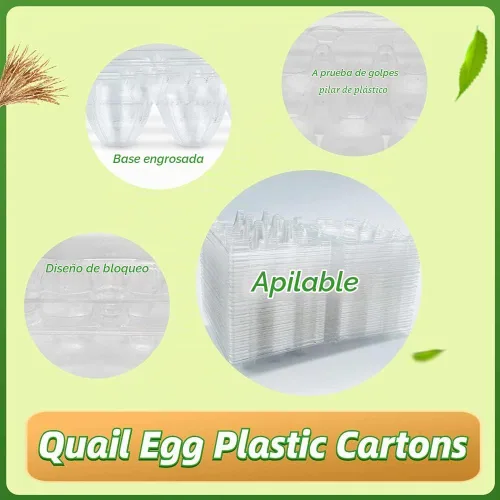 Vista 3 de 50 cajas de huevos de codorniz, 12 rejillas de almacenamiento de huevos pequeños, bandejas de cartón a granel para huevos pequeños, codorniz