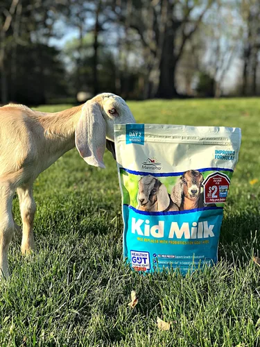 Vista 7 de Manna Pro Reemplazo de leche de cabra para niños, alto en proteínas para apoyar el crecimiento, alimentado por Opti-Gut para apoyar la salud