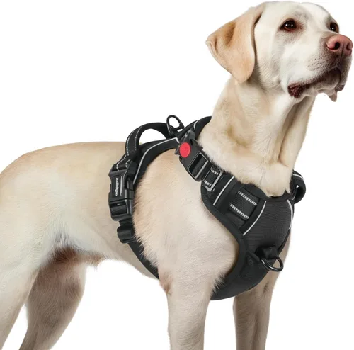 Vista 80 de Rabbitgoo - Arnés para perro de tamaño pequeño, arnés para mascotas sin tirones con 3 hebillas, chaleco acolchado suave ajustable con mango