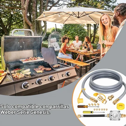 Vista 6 de Kit de conversión de propano a gas natural para parrilla Weber Genesis Series