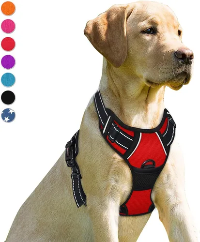 Vista 163 de BARKBAY - Arnés para perro sin tirones con clip frontal, material resistente y reflectante, asa de fácil control para pasear perros grandes