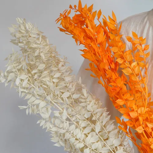 Vista 3 de Rusco conservado blanqueado, blanco, decoración rústica para el hogar, flores secas al por mayor (naranja)