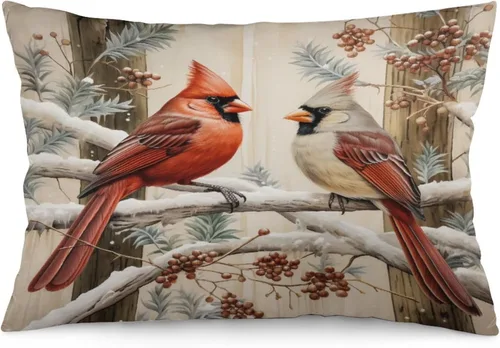 Vista 34 de Fundas de cojín decorativas para cama, diseño de pueblo de invierno, escena de invierno, con una casa victoriana en un entorno nevado, fundas