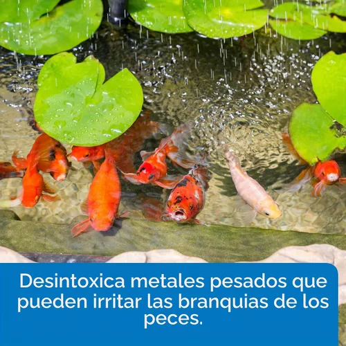 Vista 5 de pondcare cloro y Heavy Metal Neutralizer