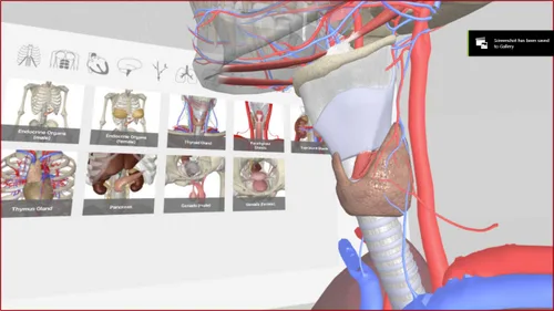 Vista 8 de 3D Organon VR Anatomy - Instant Access