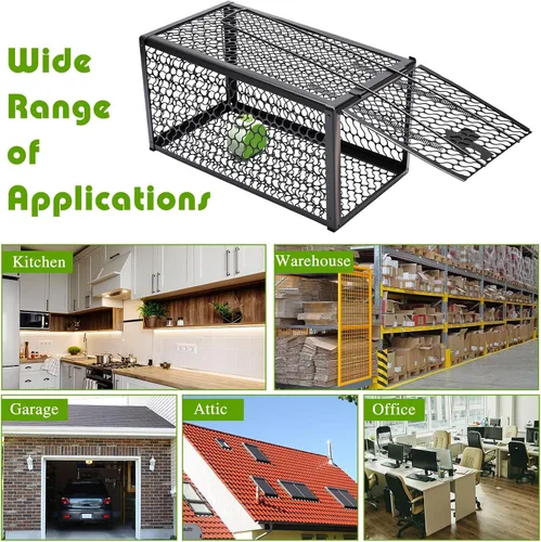 Vista 7 de Qualirey Trampa humana para ratas, ardilla, roedor, ratón, ardilla, trampa para ardillas, 11 x 6 x 6 pulgadas, para animales vivos, ratones