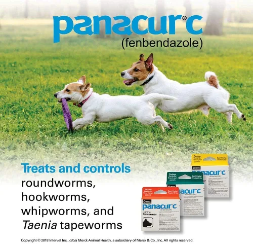 Vista 4 de Panacur C desparasitante canino (fenbendazol), 4 gramos, 3 unidades (Paquete de 1), rojo