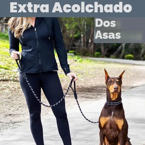 Vista 2 de Correa para perro de 6 pies, dos asas extra acolchadas, clip de mosquetón de bloqueo, reflectante para visibilidad nocturna, resistente a la Negro