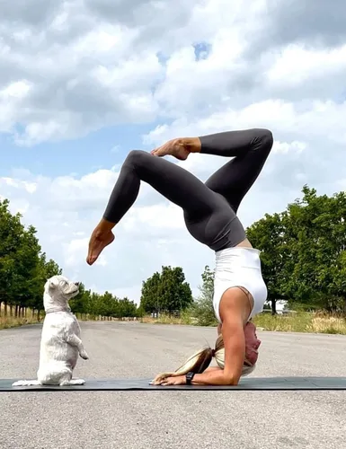 Vista 3 de Natural Feelings - Leggings de cintura alta para mujer, ultrasuaves, elásticos, opacos, ajustados, para yoga, talla única y talla extragrande
