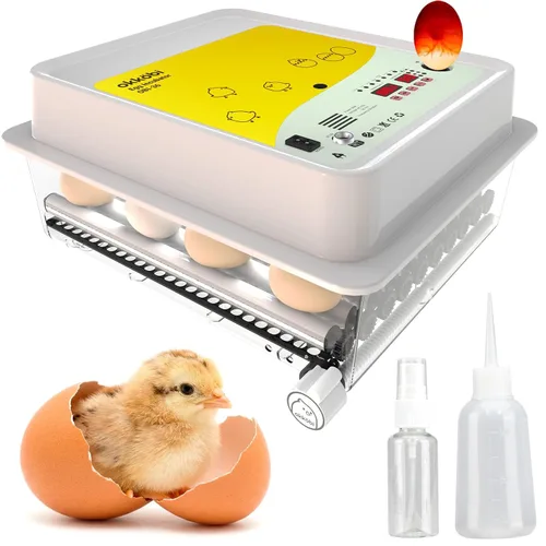 Vista 8 de OBI-36 Incubadora de huevos para incubar - 36 huevos - Control estable de temperatura y humedad con aislamiento Eggloo, Candler - Ideal