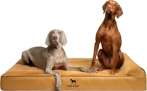 Vista 10 de NOAH & PAW Cama pequeña para perros, 20 x 15 x 6.5 pulgadas, cama para gatos de interior, espuma viscoelástica ortopédica de cáscara de huevo Verde