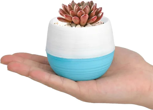 Vista 3 de Elsjoy Paquete de 30 mini macetas para suculentas, macetas de plástico de 3 pulgadas, macetas pequeñas y lindas para suculentas con drenaje