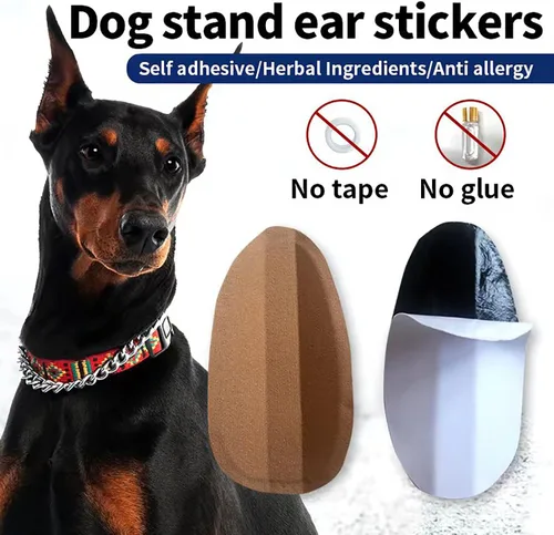 Vista 3 de Herramienta de soporte adhesivo para orejas de perro, corrección fija de oreja de perro, soporte vertical para Doberman, pequeño (0.98 x 1.97)