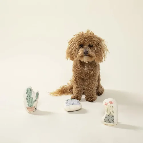 Vista 2 de Fringe Studio - Juego de 3 juguetes de felpa para perros pequeños, con lona de algodón duradero, diseño de cactus en maceta, colección PetShop