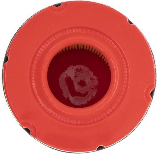 Vista 2 de CUB CADET 937-05066 Filtro de aire con prefiltro XT1 Enduro LT42 LT46 Tractores de césped