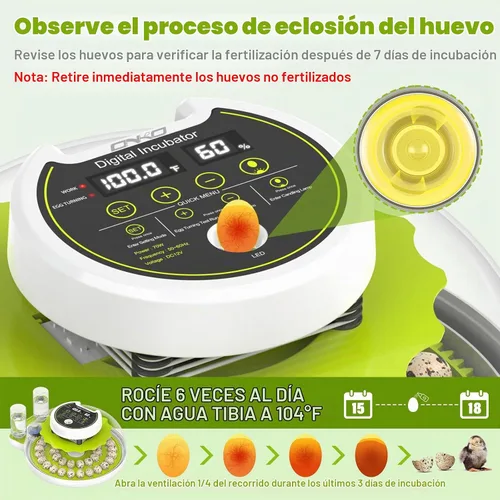 Vista 5 de Incubadora de huevos de codorniz 40 con huevos de control de humedad