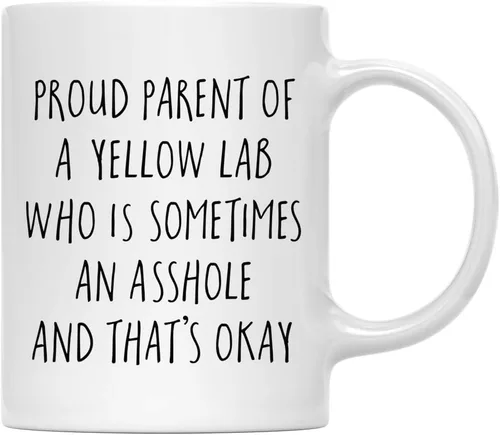 Vista 120 de Andaz Press Funny Dog - Taza de café de 11 onzas, regalo de broma, orgulloso padre de un afenpinscher que es a veces un gilipollas y eso está bien
