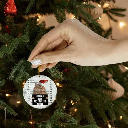 Vista 4 de CUBICER Adornos personalizados para árbol de Navidad de gato, adorno de mesa colgante de acrílico, regalo de cumpleaños para amigos, mujeres, niñas
