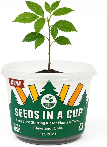 Vista 8 de Semillas en una taza - Kit de cultivo de plantas (espárragos)