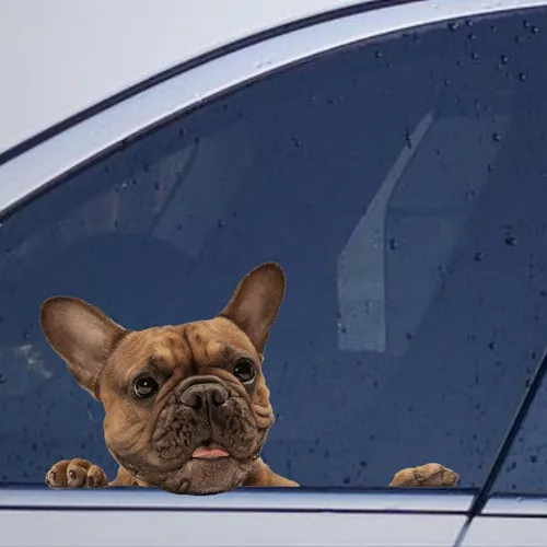 Vista 23 de Calcomanías de perro caniche, divertidas calcomanías de vinilo troqueladas para automóvil, laptop, parachoques Estilo-37