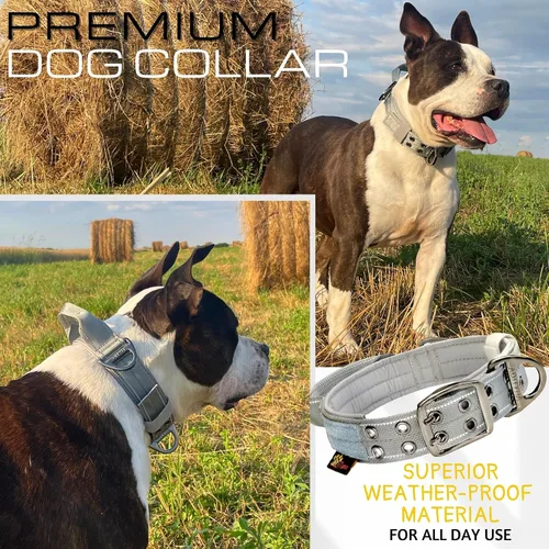 Vista 5 de ADITYNA Collar de perro resistente para perros grandes, collar gris reflectante con asa para entrenar y caminar, ancho, grueso, táctico, acolchado