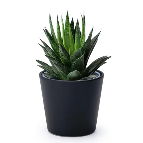 Vista 50 de Phoenix Vine Macetero de plástico verde oliva de 4.5 pulgadas con maceta transparente, cubierta decorativa ligera con maceta interior transparente