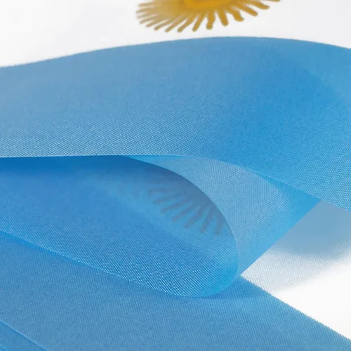 Vista 4 de Anley Banderines de cuerda de Argentina, banderines para eventos patrióticos, decoración del Día de la Independencia de Argentina, 9 de julio