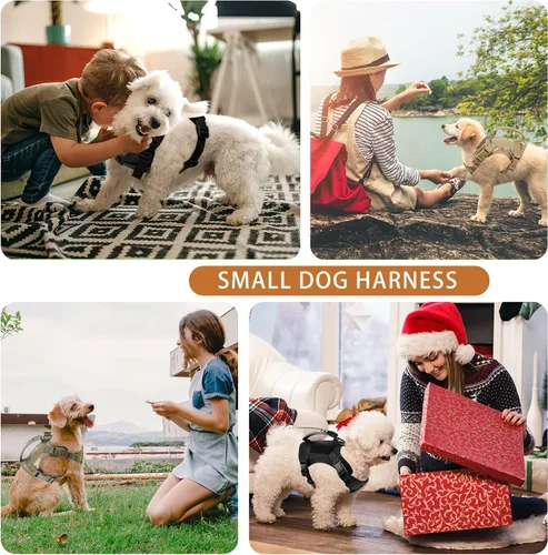 Vista 3 de Annchwool Arnés táctico para perros pequeños con asa, chaleco de servicio militar y correa para entrenamiento al aire libre, caminar, senderismo