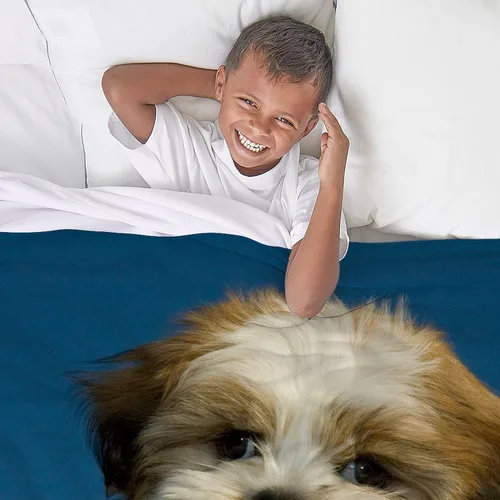 Vista 3 de CafePress Shih Tzu - Manta de forro polar súper suave para cachorros, 60 x 50 pulgadas