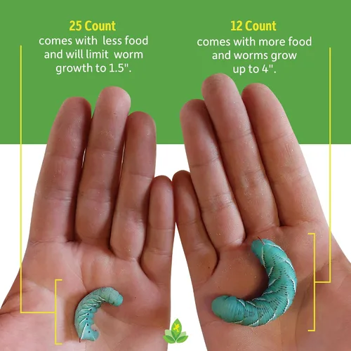 Vista 4 de Josh's Frogs Hornworms Habitat Cup (taza de 12 unidades)