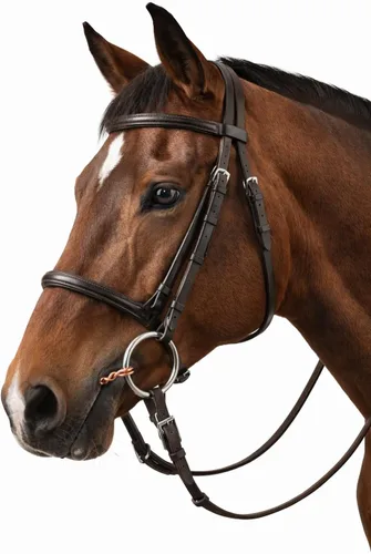 Vista 3 de ProRider Caballo 6" SS anillo suelto trenzado alambre Snaffle caballo bit 35479D