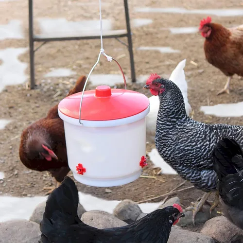 Vista 6 de Farm Innovators - Paquete de 2 bebederos térmicos para pollo, cubo para bebedero para aves de corral, 2 galones