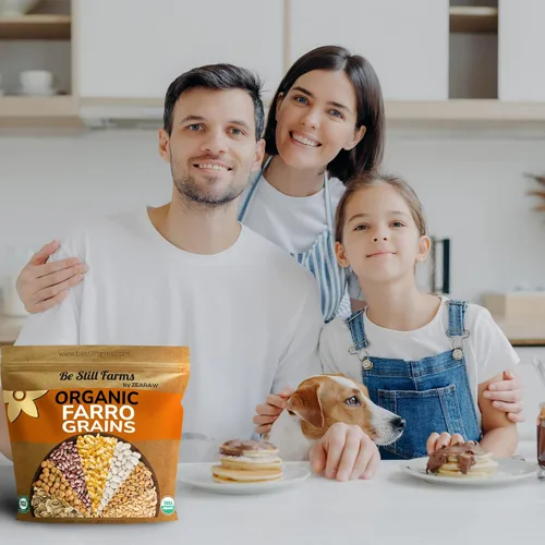Vista 6 de Grano Farro Orgánico 4.8 lb – Bayas de trigo Emmer enteras a granel Granos